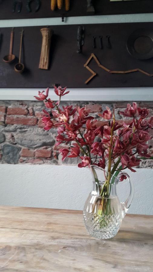 Langhe Di Liguria B&B Piana Crixia Екстер'єр фото